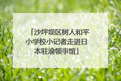 沙坪坝区树人和平小学校小记者走进日本驻渝领事馆