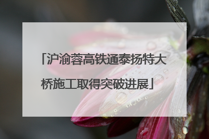 沪渝蓉高铁通泰扬特大桥施工取得突破进展