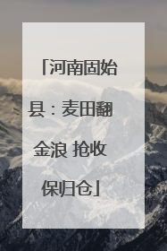 河南固始县：麦田翻金浪 抢收保归仓