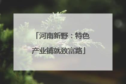 河南新野：特色产业铺就致富路