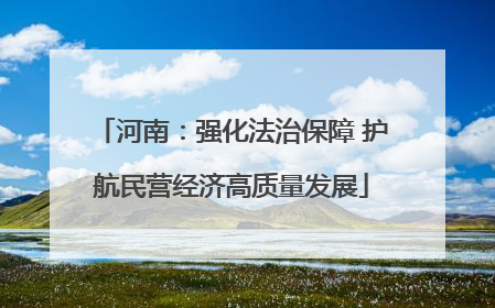 河南：强化法治保障 护航民营经济高质量发展
