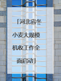 河北省冬小麦大规模机收工作全面启动
