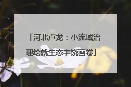 河北卢龙：小流域治理绘就生态丰饶画卷