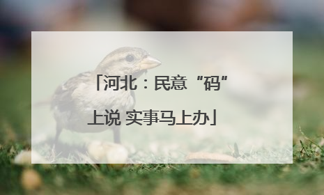 河北：民意“码”上说 实事马上办