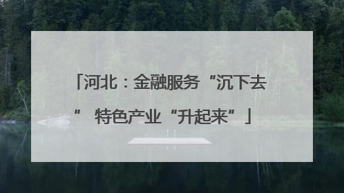 河北：金融服务“沉下去” 特色产业“升起来”