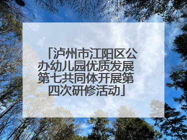 泸州市江阳区公办幼儿园优质发展第七共同体开展第四次研修活动