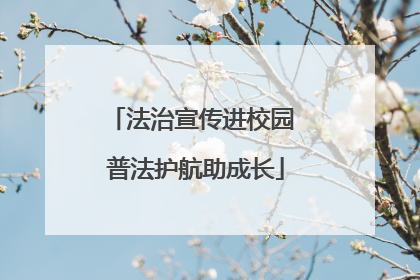法治宣传进校园 普法护航助成长