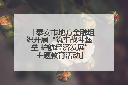 泰安市地方金融组织开展“筑牢战斗堡垒 护航经济发展”主题教育活动