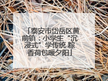 泰安市岱岳区黄前镇：小学生“沉浸式”学传统 粽香荷包暖夕阳