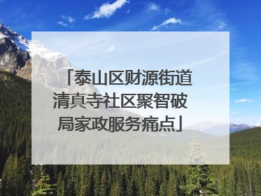 泰山区财源街道清真寺社区聚智破局家政服务痛点