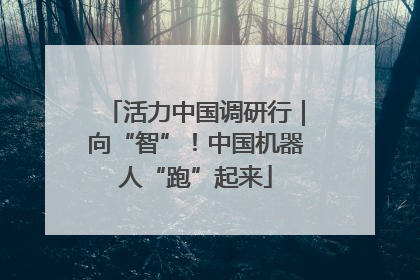 活力中国调研行｜向“智”！中国机器人“跑”起来