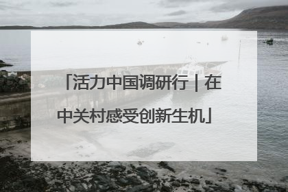 活力中国调研行｜在中关村感受创新生机
