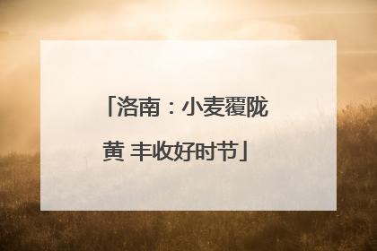 洛南：小麦覆陇黄 丰收好时节