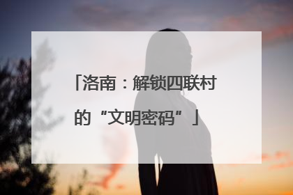 洛南：解锁四联村的“文明密码”