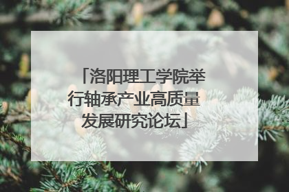 洛阳理工学院举行轴承产业高质量发展研究论坛