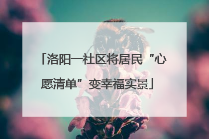 洛阳一社区将居民“心愿清单”变幸福实景