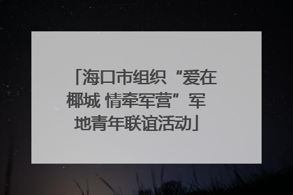 海口市组织“爱在椰城 情牵军营”军地青年联谊活动