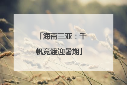 海南三亚：千帆竞渡迎暑期