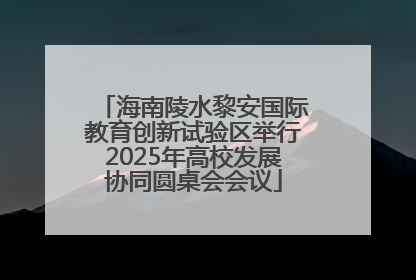 海南陵水黎安国际教育创新试验区举行2025年高校发展协同圆桌会会议