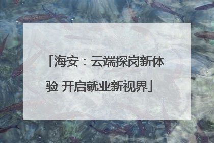 海安：云端探岗新体验 开启就业新视界