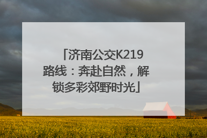济南公交K219路线：奔赴自然，解锁多彩郊野时光
