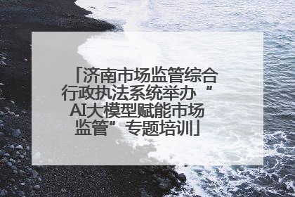 济南市场监管综合行政执法系统举办“AI大模型赋能市场监管”专题培训
