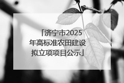 济宁市2025年高标准农田建设拟立项项目公示