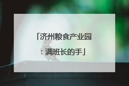 济州粮食产业园：满班长的手