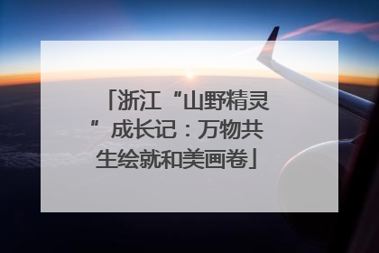 浙江“山野精灵”成长记：万物共生绘就和美画卷