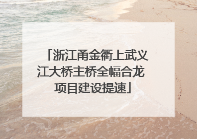 浙江甬金衢上武义江大桥主桥全幅合龙 项目建设提速
