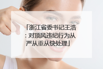 浙江省委书记王浩：对顶风违纪行为从严从重从快处理