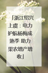 浙江绍兴上虞：电力护航杨梅成熟季 助力果农增产增收