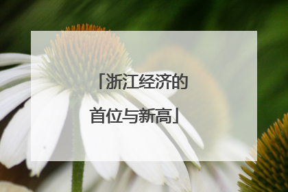 浙江经济的首位与新高