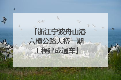 浙江宁波舟山港六横公路大桥一期工程建成通车