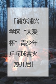浦东浦兴学区“大爱杯”青少年乒乓球赛火热开启