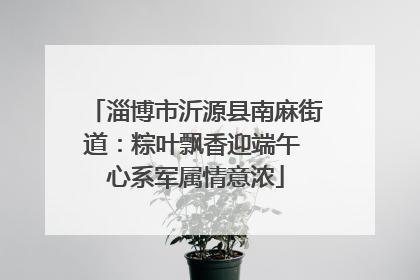 淄博市沂源县南麻街道：粽叶飘香迎端午 心系军属情意浓