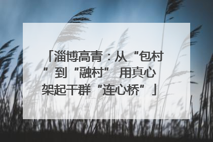 淄博高青：从“包村”到“融村” 用真心架起干群“连心桥”