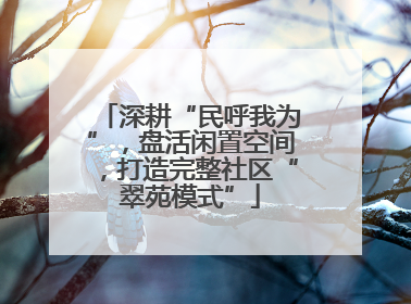 深耕“民呼我为”，盘活闲置空间，打造完整社区“翠苑模式”