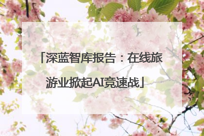 深蓝智库报告：在线旅游业掀起AI竞速战