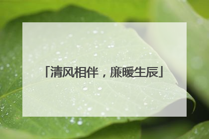 清风相伴，廉暖生辰