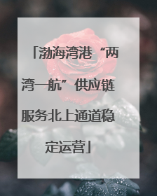 渤海湾港“两湾一航”供应链服务北上通道稳定运营