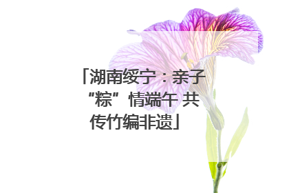 湖南绥宁：亲子“粽”情端午 共传竹编非遗
