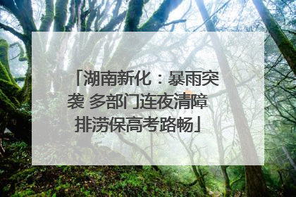 湖南新化：暴雨突袭 多部门连夜清障排涝保高考路畅