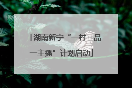 湖南新宁“一村一品一主播”计划启动