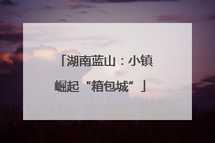 湖南蓝山：小镇崛起“箱包城”