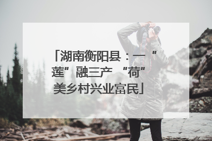 湖南衡阳县：一“莲”融三产 “荷”美乡村兴业富民