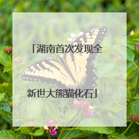 湖南首次发现全新世大熊猫化石