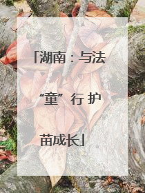 湖南：与法“童”行 护苗成长