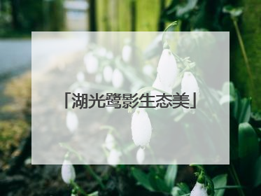 湖光鹭影生态美