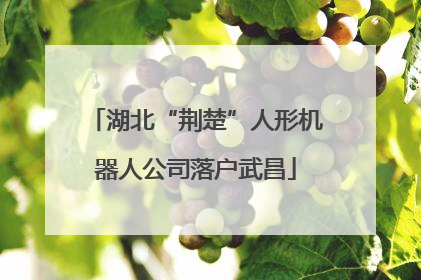 湖北“荆楚”人形机器人公司落户武昌